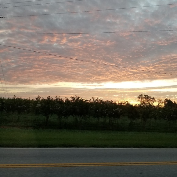 Meet your Posher, Ali - Picture 1 of 2